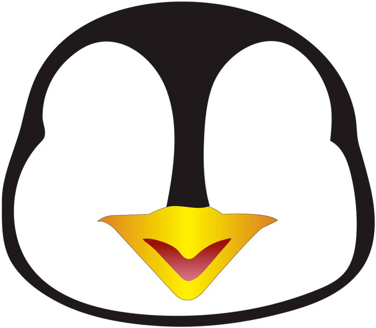 A Black And Yellow Penguin Face