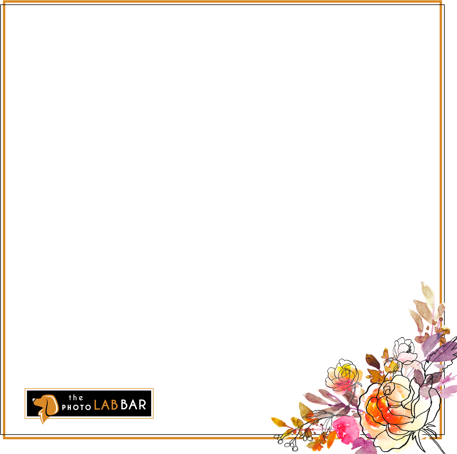 A Black Background With Flowers
