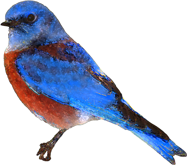 A Blue Bird With Red And Blue Feathers