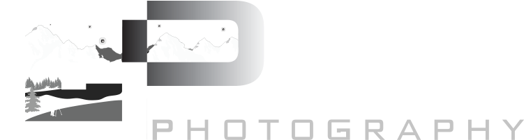 A Logo With A Black Background