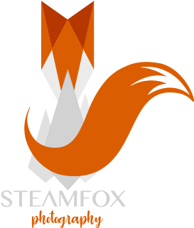 A Logo Of A Fox