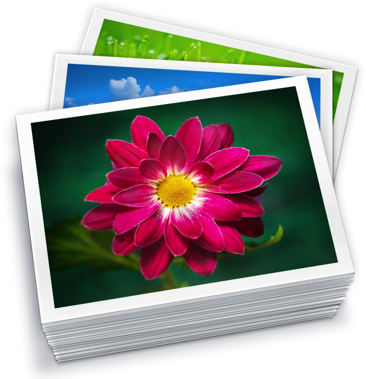A Stack Of Photos Of A Flower
