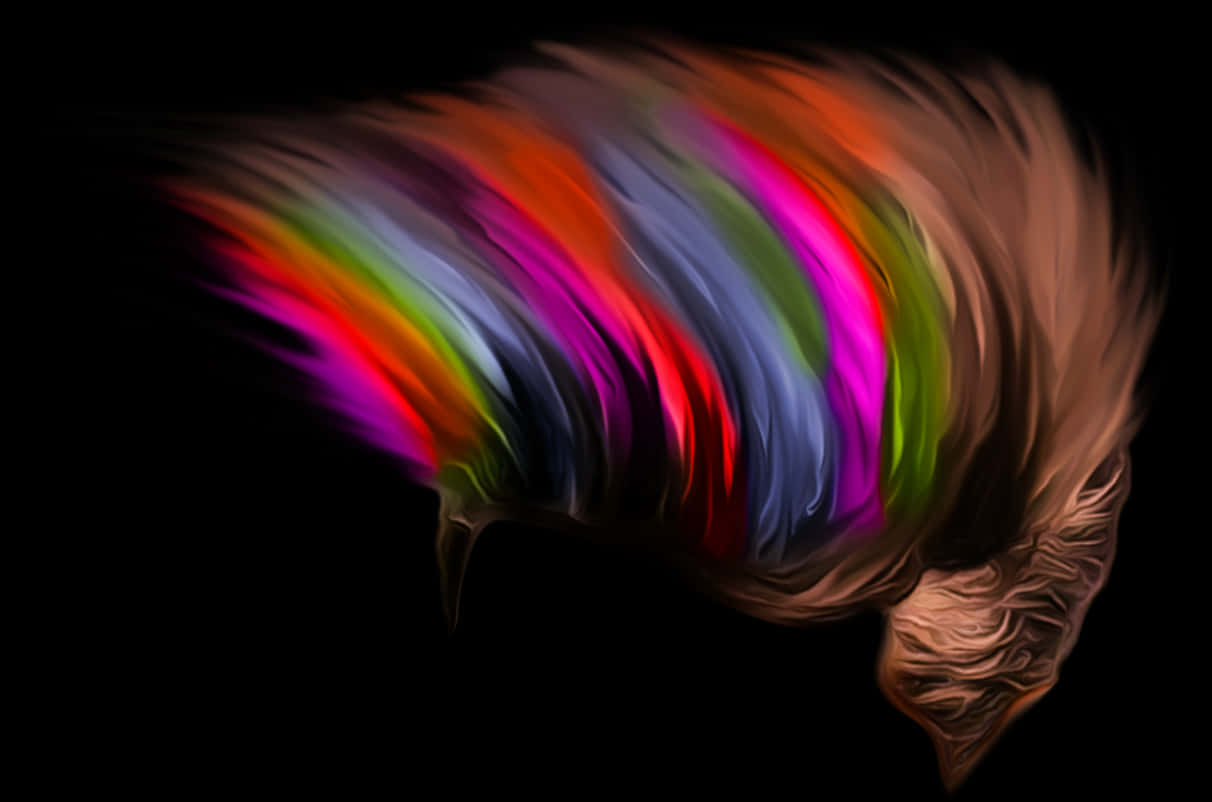 A Colorful Animal With Black Background