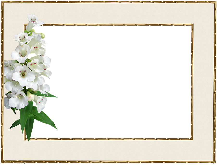 A White Flowers In A Gold Frame