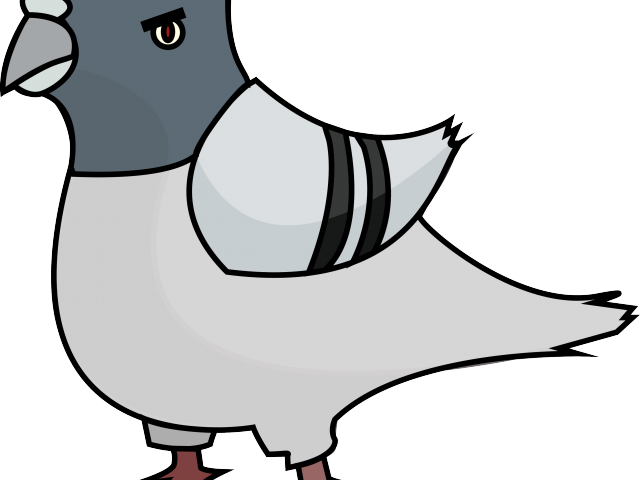 Pigeon Images Png