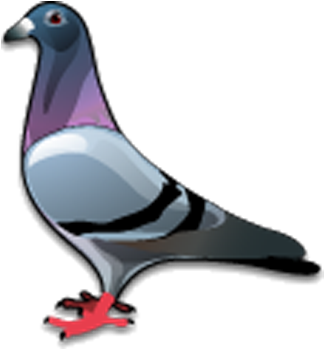 A Bird With A Purple Neck And Black Stripes