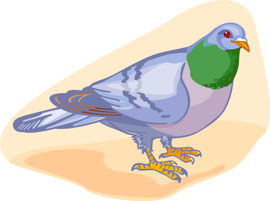 A Bird With A Green Head