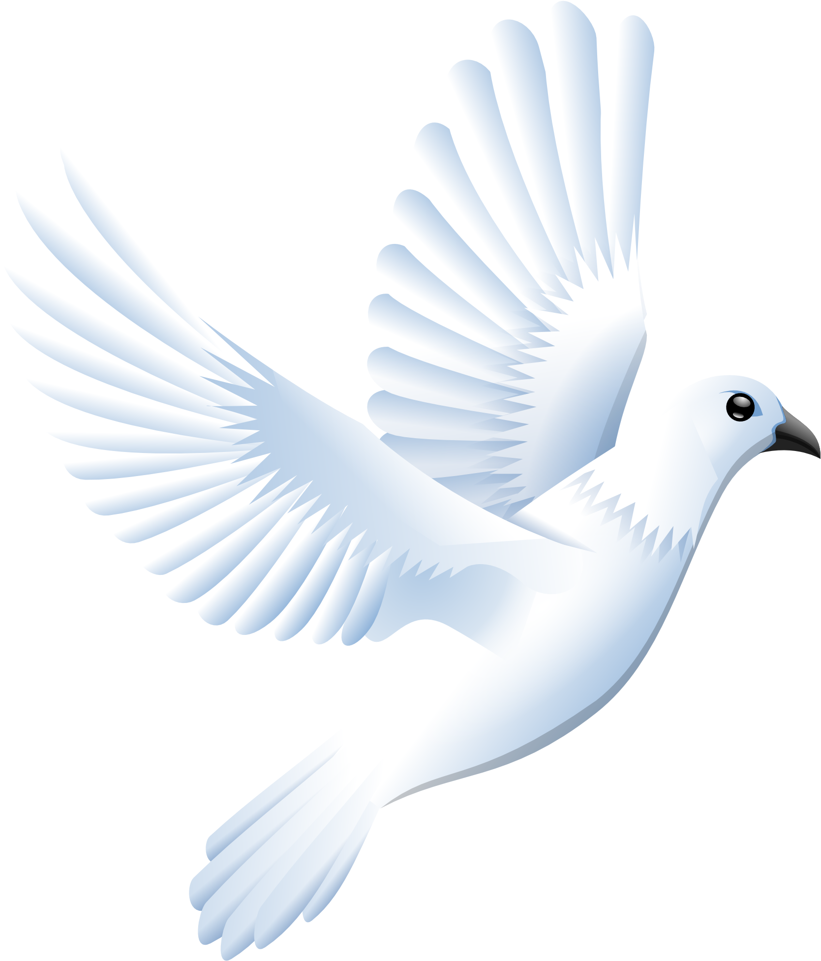 Pigeon Images Png
