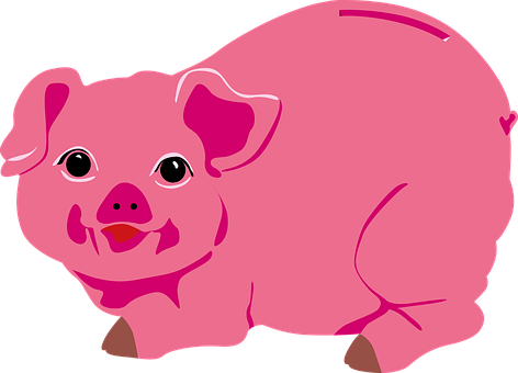 A Pink Piggy Bank