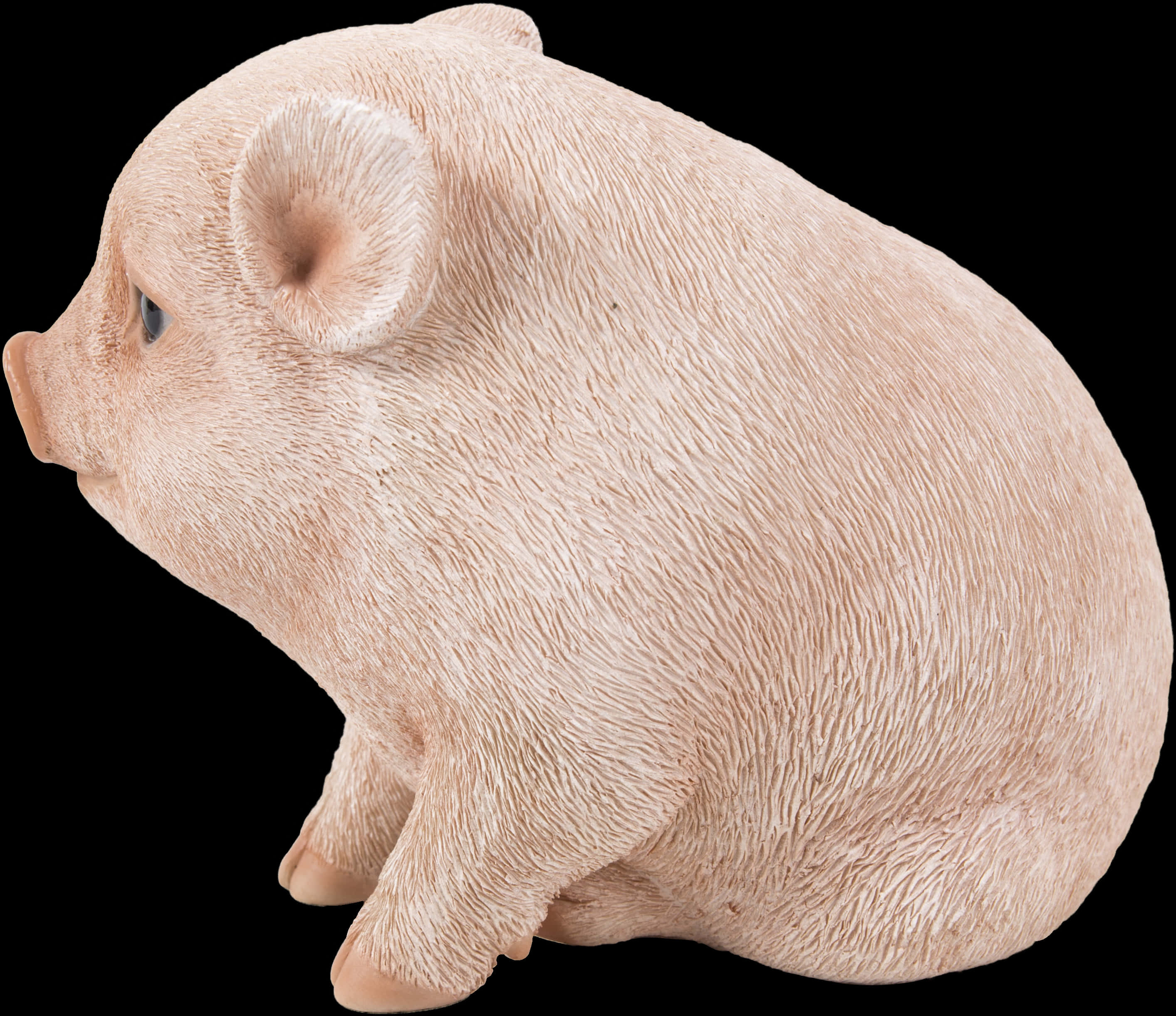 A Close Up Of A Pig
