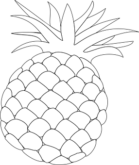 A White And Black Pineapple