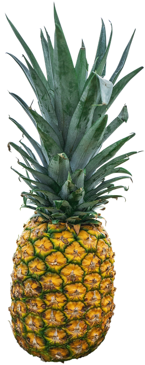 Pineapple Png 287 X 720