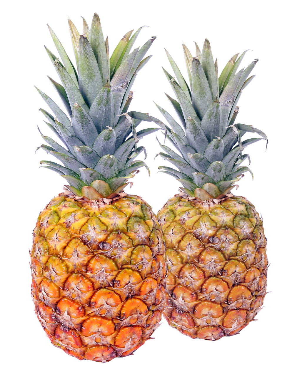 Pineapple Png 1010 X 1273