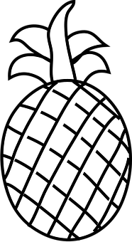 A Black And White Pineapple