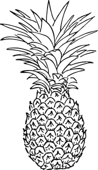 A Black And White Image Of A Pineapple
