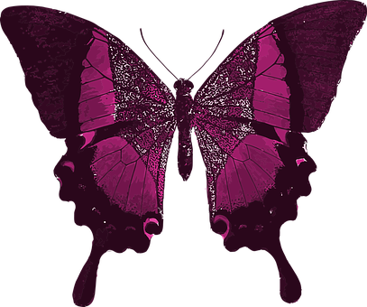 Pink Png 407 X 340