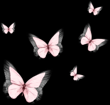 A Group Of Pink Butterflies