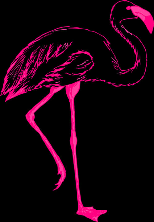 Hot Pink Flamingo Drawing
