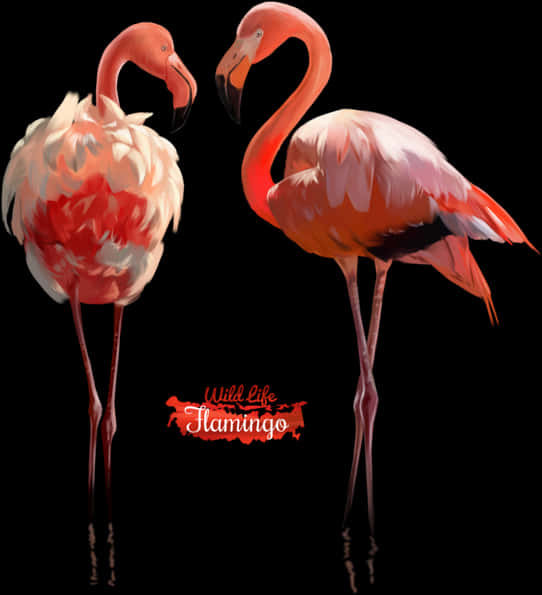 Pink Flamingo Watercolor Illustration By Kajenna - Flamingo Black Watercolor Free, Hd Png Download