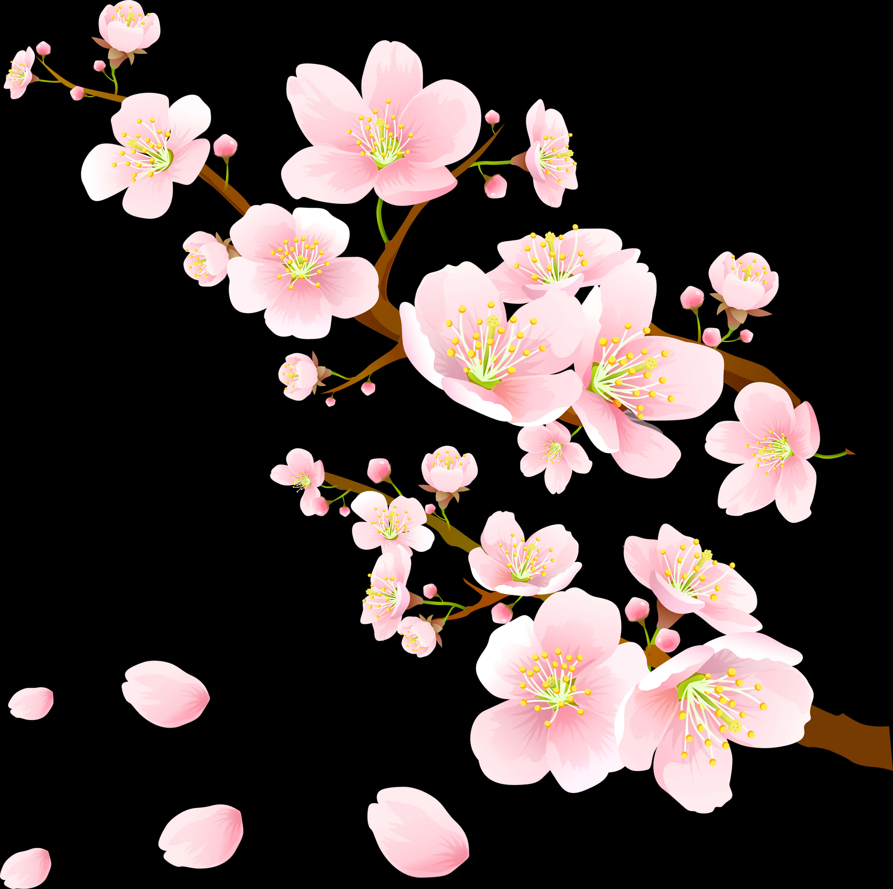 Pink Flower Spring Aesthetic