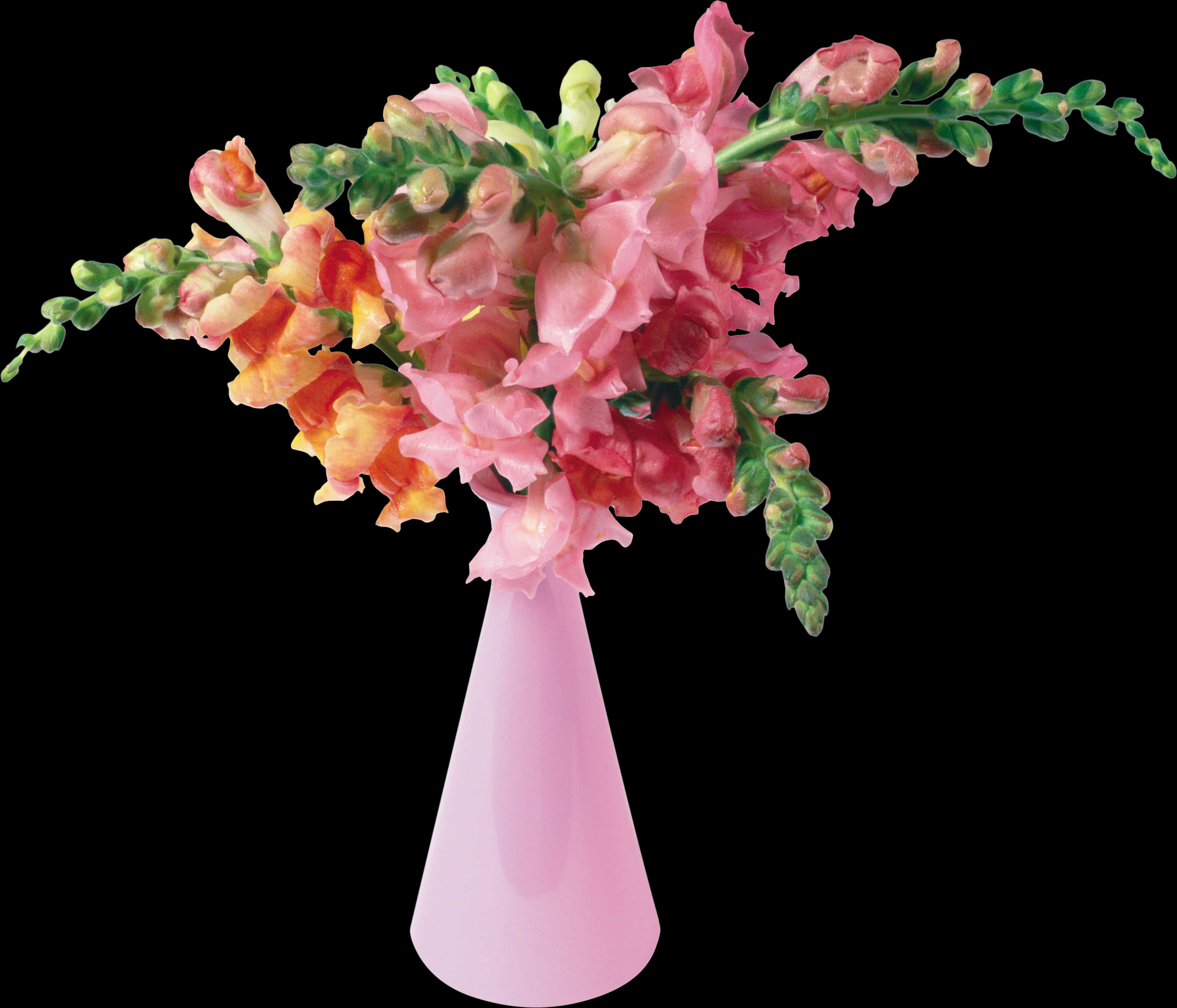 Pink Flower Png