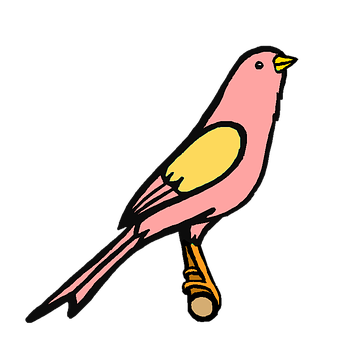 A Pink Bird With Yellow Beak