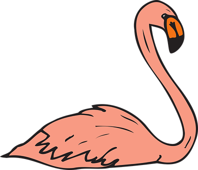 A Pink Flamingo With Black Background