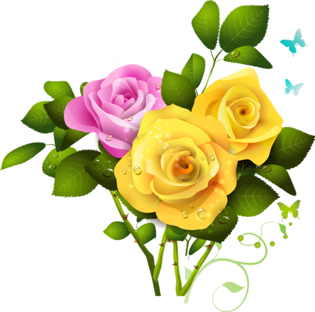 A Yellow And Pink Roses With Green Leaves