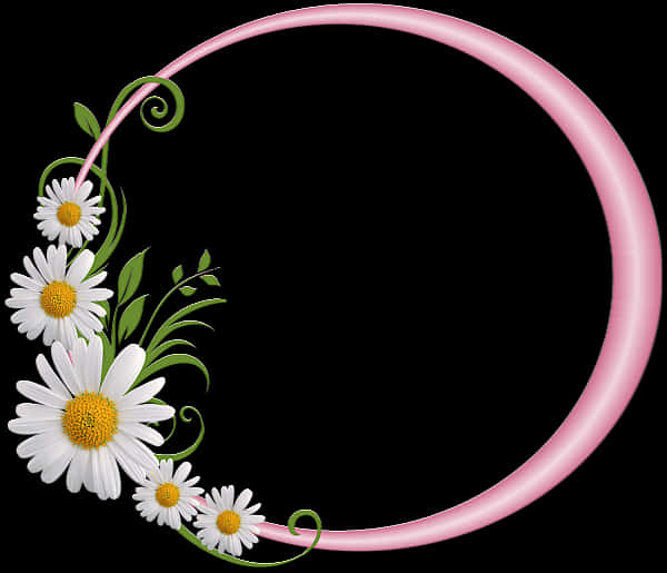 Pink Round Frame With Daisies Borders And Frames, Borders - Floral Round Frame Png, Transparent Png