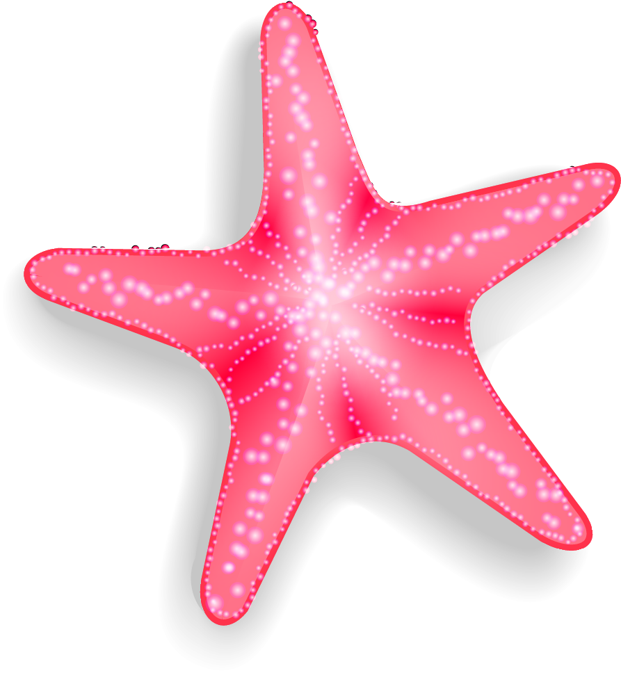A Pink Starfish With White Edges