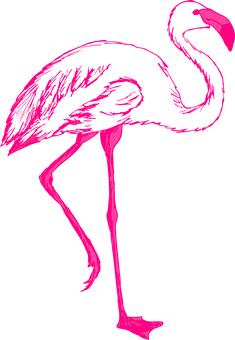 Pink Png 235 X 340