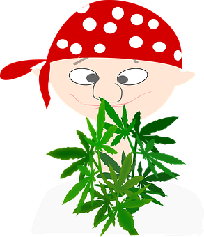 A Cartoon Of A Pirate With A Red Bandana And Green Leaves