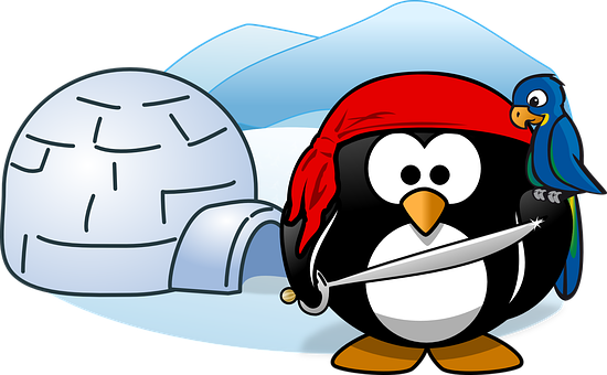 A Cartoon Penguin With A Sword And A Hat