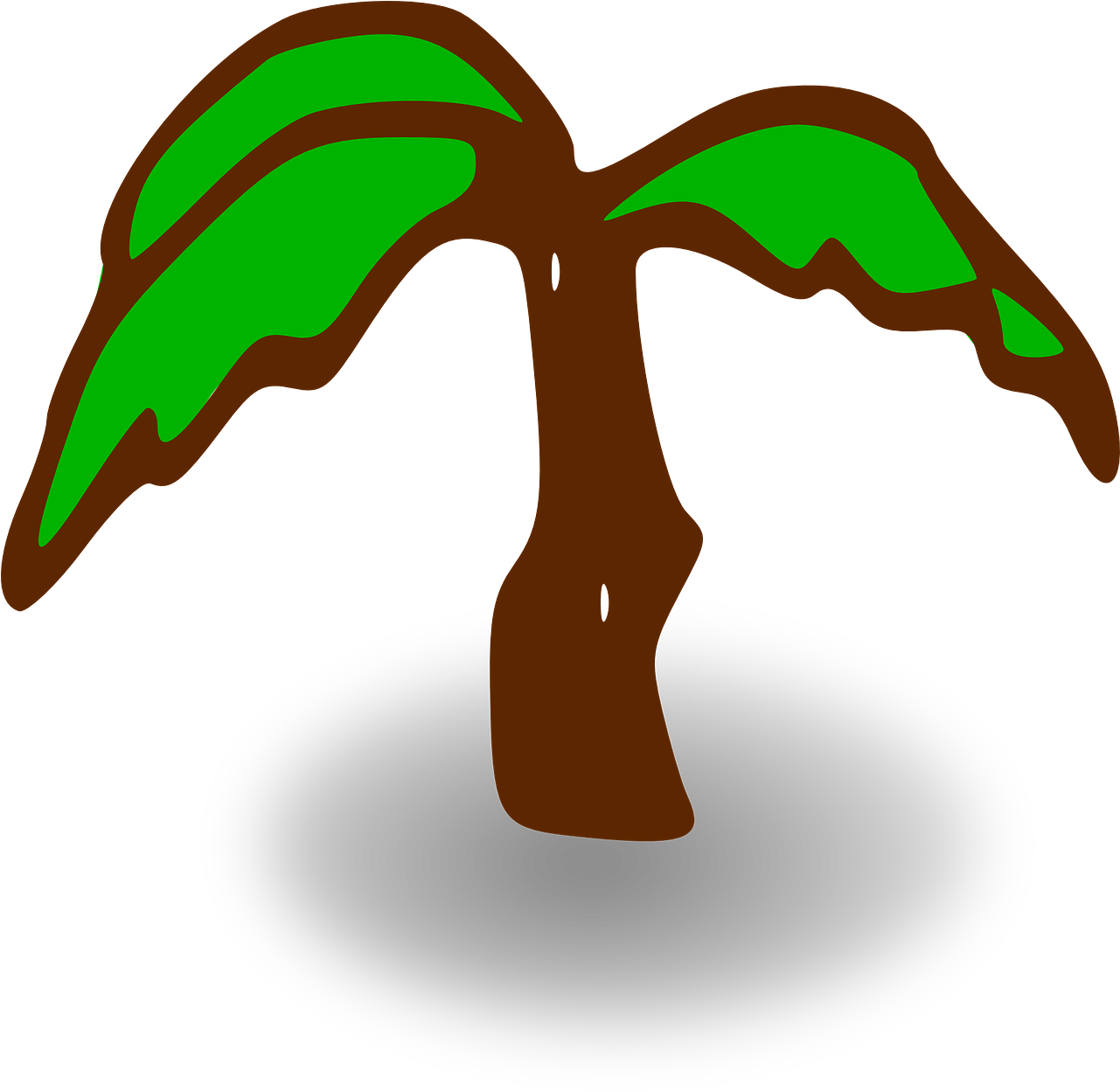 A Drawing Of A Palm Tree