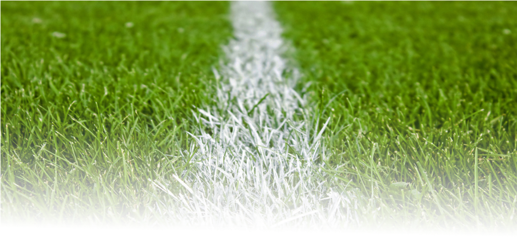 A White Line On Grass