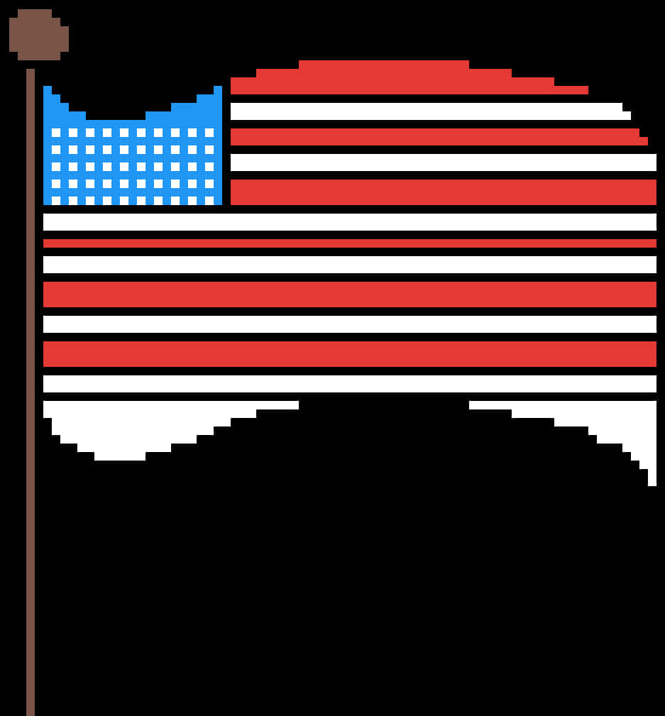 A Pixelated Flag With A Flag Pole