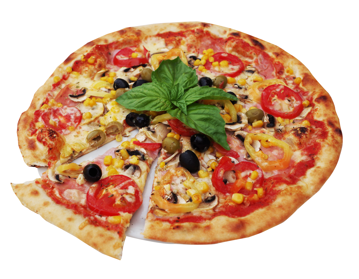 Pizza Png 1457 X 1134