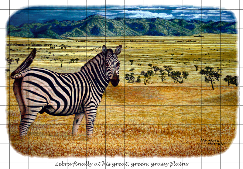 A Zebra Standing In A Field
