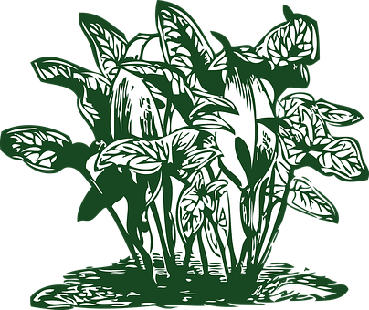 Plant Png 404 X 340