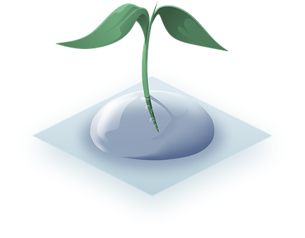 Plant Png 436 X 340