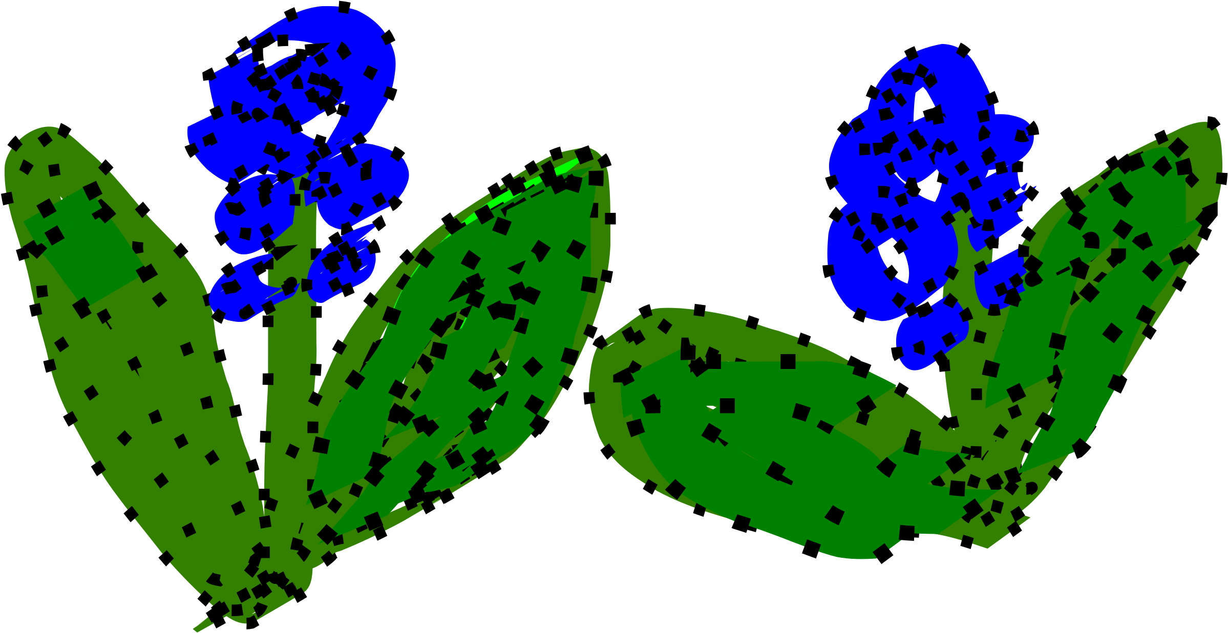 A Drawing Of A Plant
