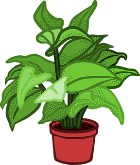Plant Png 288 X 340