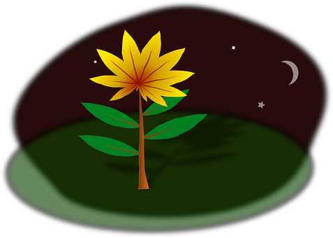 Plant Png 477 X 340
