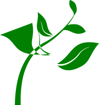 Plant Png 322 X 340