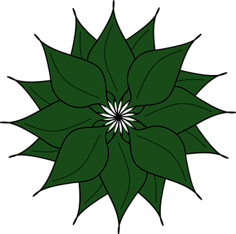 Plant Png 342 X 340