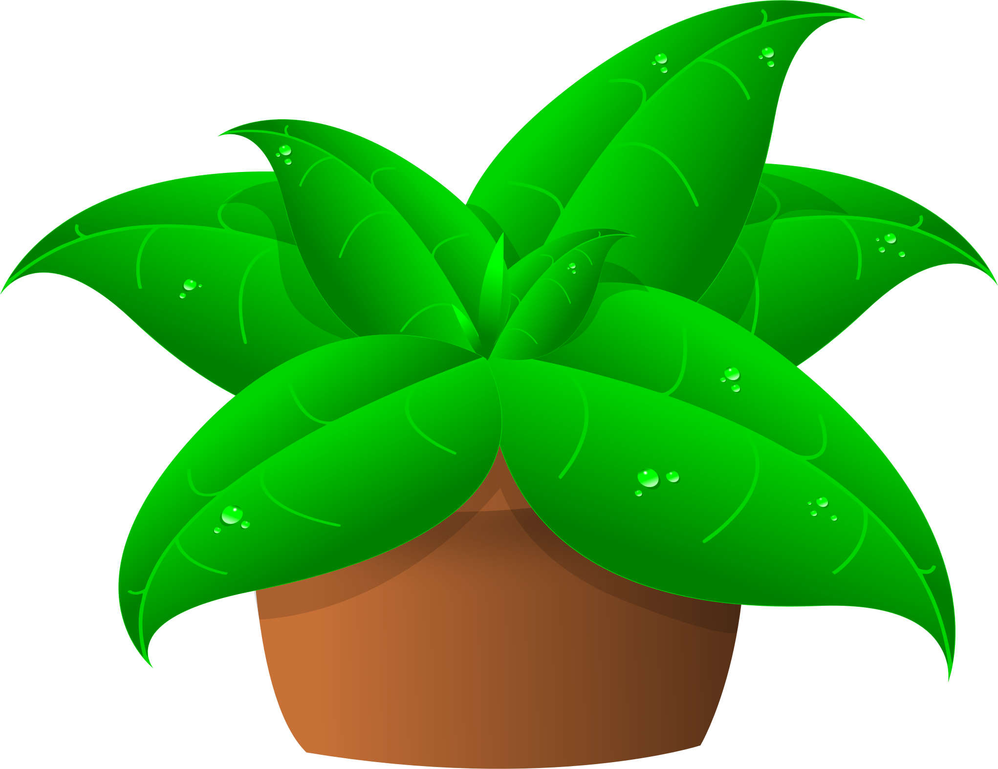 Plant Pot Png 2042 X 1574