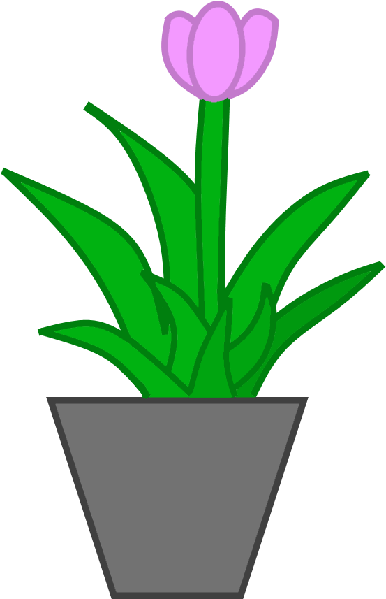 A Plant In A Pot