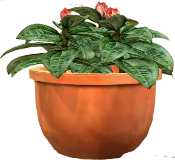 A Potted Plant With Flowers