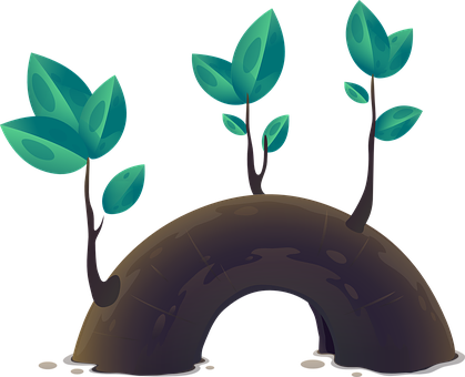 Plant Root Illustration
