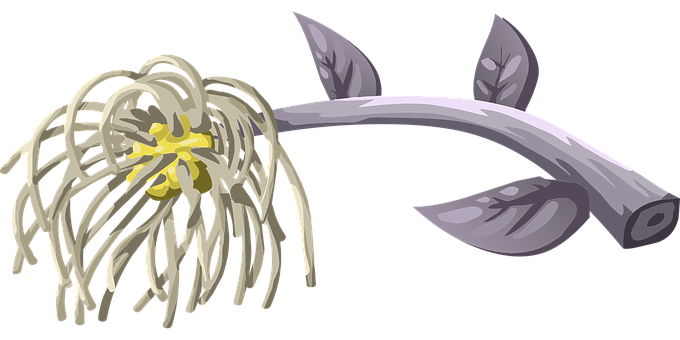 Plant Png 680 X 340